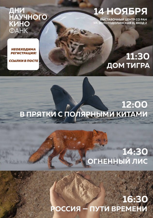 Фестиваль актуального научного кино в Новосибирске - изображение 2