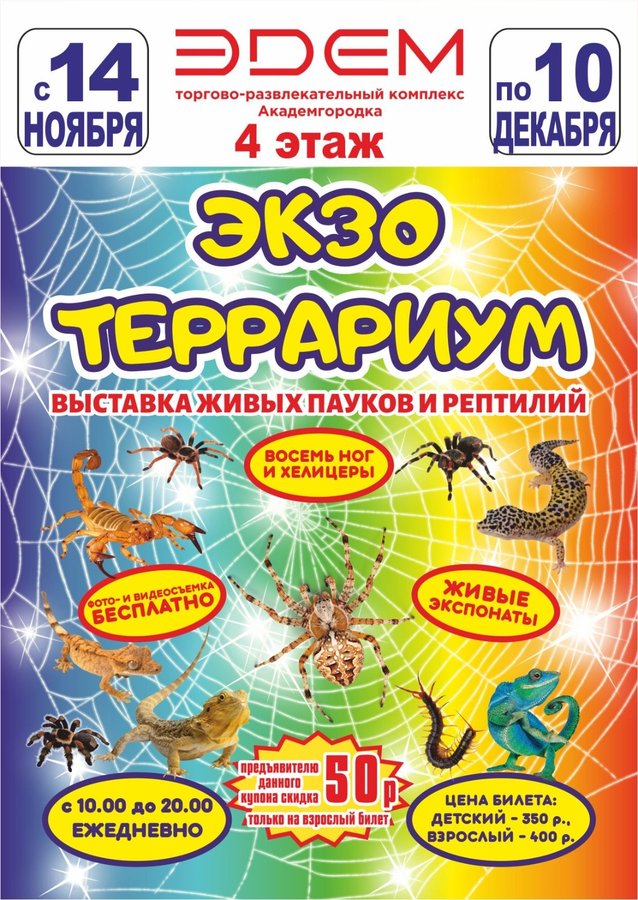 Выставка живых пауков и рептилий в ТРК Эдем - изображение 1
