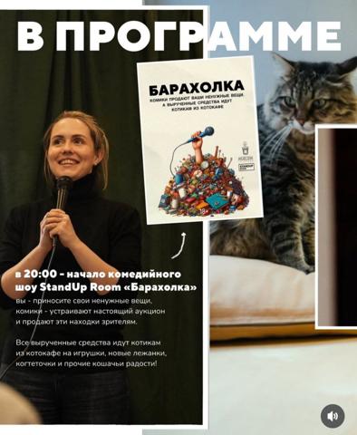 День рождения котокафе @murchim_cafe - изображение 4