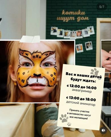 День рождения котокафе @murchim_cafe - изображение 2