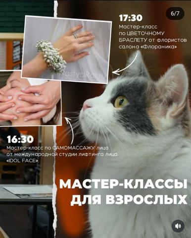 День рождения котокафе @murchim_cafe - изображение 3
