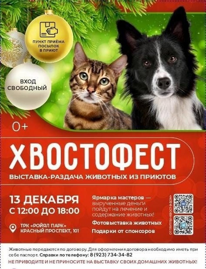 Новогодний Хвостофест — выставка-раздача животных - изображение 1