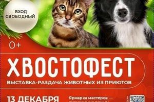 Новогодний Хвостофест — выставка-раздача животных