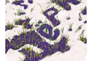 XI Арт-маркет «Дёрн» — предновогодняя арт-ярмарка