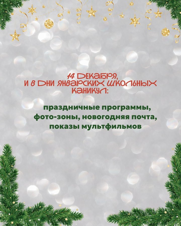Главная Резиденция Нового года в Новосибирске - изображение 3