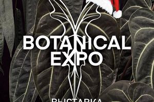 Botanical Expo — зимняя выставка растений