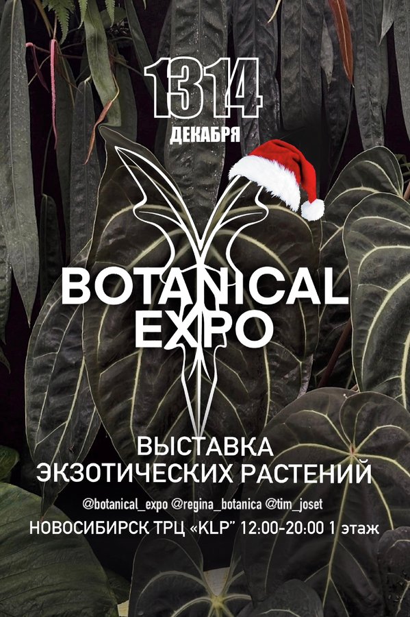 Botanical Expo — зимняя выставка растений - изображение 1